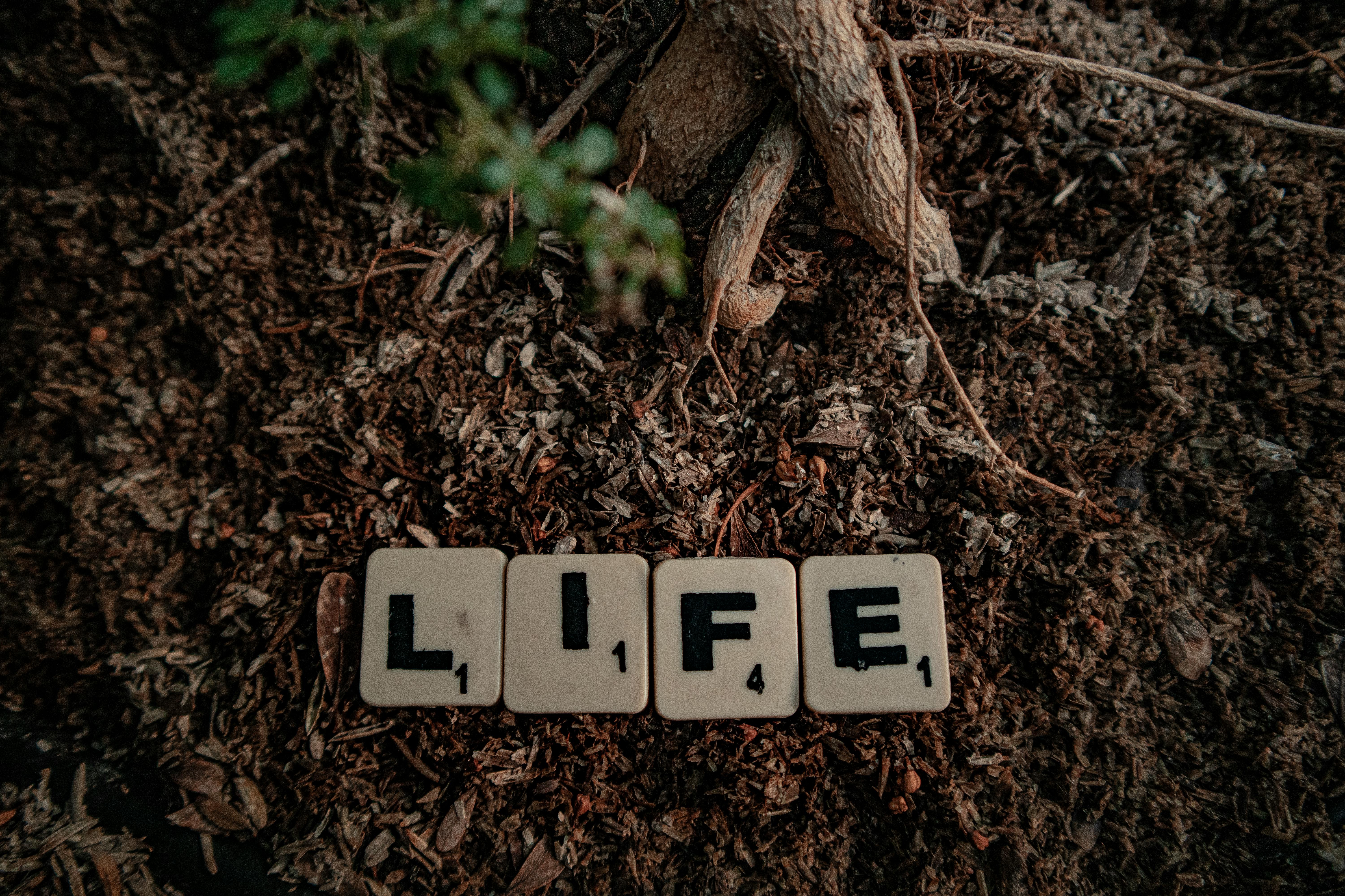 Lifecoach